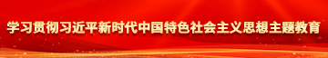 嗯哈啊操我好爽视频学习贯彻习近平新时代中国特色社会主义思想主题教育